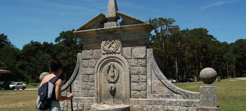 Senderos Pinares-El Valle XII