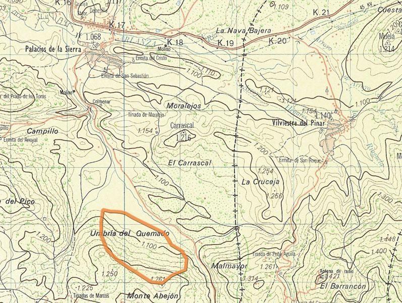 Senderos Pinares-El Valle VIII